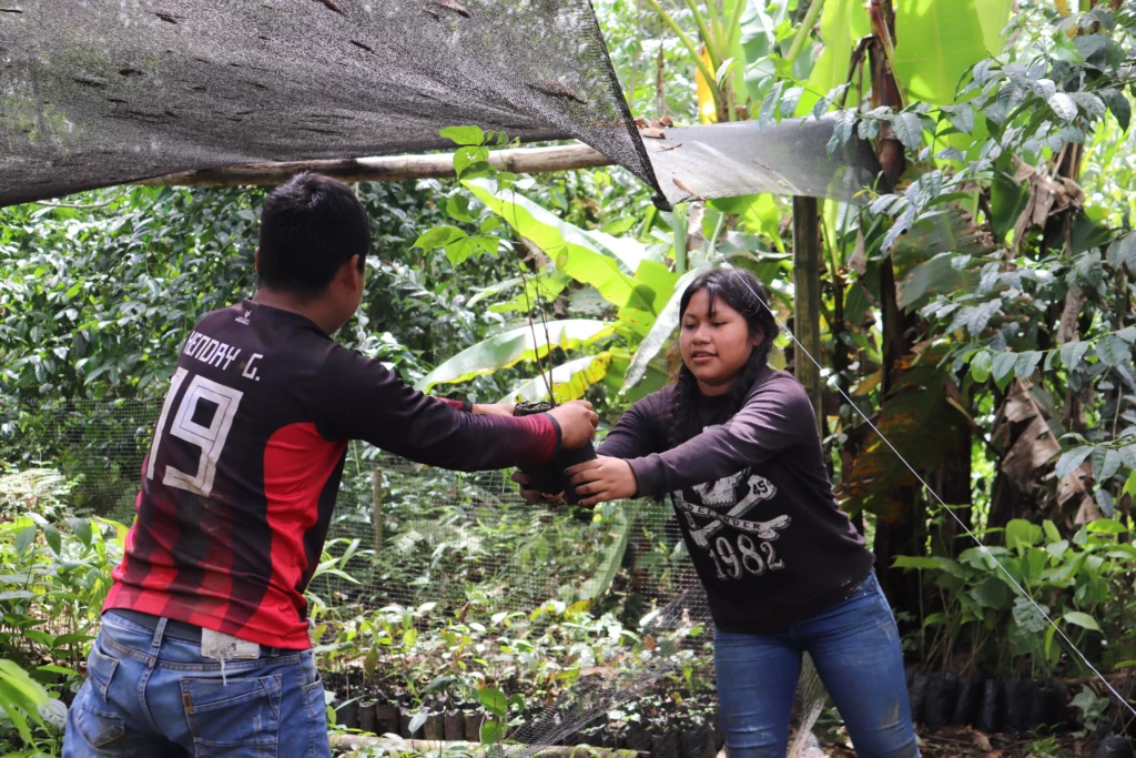 Répartition des plants a chaque bénéficiaire (3)